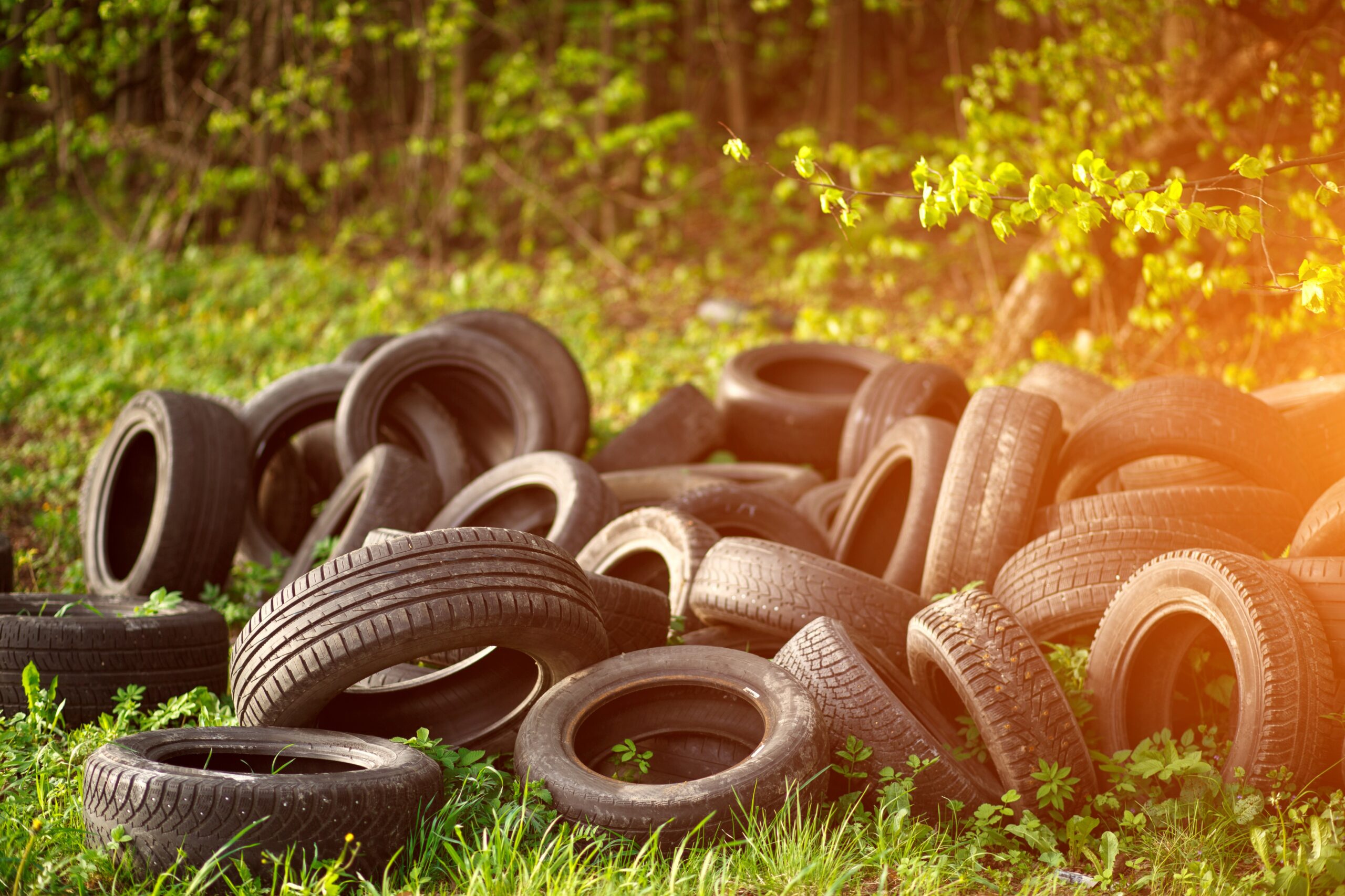 Dump of old used tires on fresh green grass in the forest. The problem of ecology and environmental pollution, processing of rubber waste from production and the automotive industry